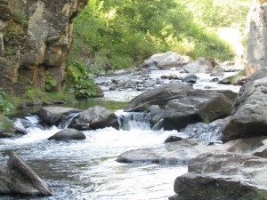 Cantara Loop - Sacramento River