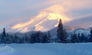 Christmas Splendor