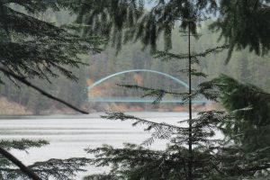 Lake Siskiyou bridge through the pines