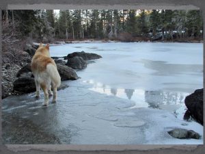 Ishnahnay standing on the ice at Castle lake